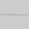 pAAVK-EF1?-MCS1-CMV-Puro AAVanced Cloning and Expression Vector